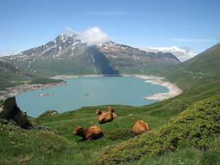 © Lac du Mont-Cenis - M. Trochu