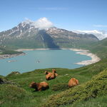© Lac du Mont-Cenis - M. Trochu