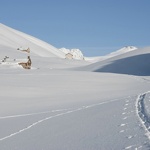 © Refuge de Vallonbrun - refuge du Parc national de la Vanoise - PNV/JOURDAN Jérémie