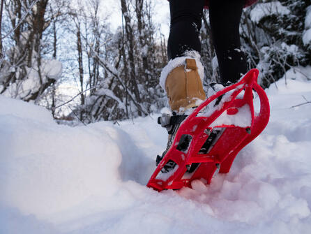 Accompanied snowshoe outing