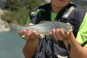 River and lake fishing at altitude