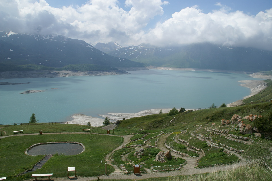 © val-cenis-jardin-alpin-mont-cenis-italie - HMVT