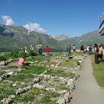 © val-cenis-jardin-alpin-mont-cenis-italie - HMVT