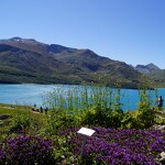 val-cenis-jardin-alpin-mont-cenis-italie-paysage - HMVT