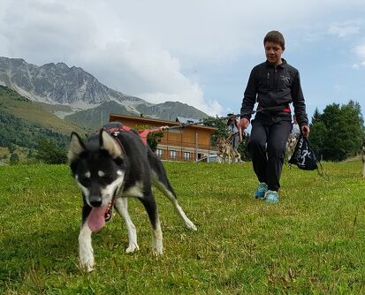En randonnée avec un chien