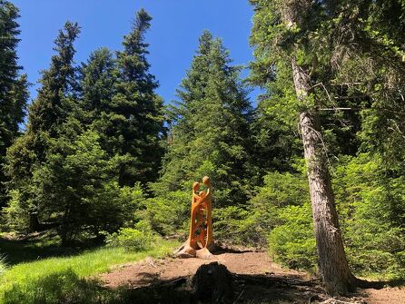 Wandelpad met beelden - Land Art Montagne