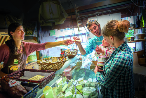 The Flavor Trail
