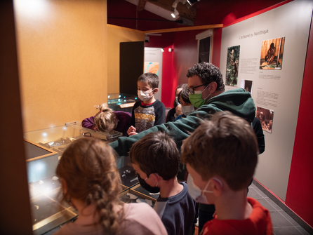 Visite commentée du Musée d'Archéologie