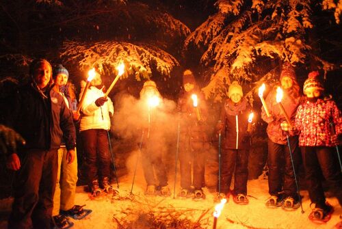 Night torchlight hike under the stars