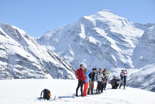 Full-day snowshoe outing with meal in a refuge