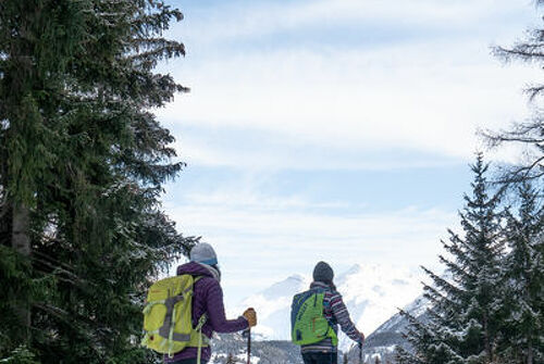 Ski touring itinerary &quot;Le Soday Termignon