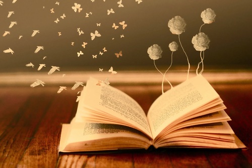 Library Alp&#039;Pages