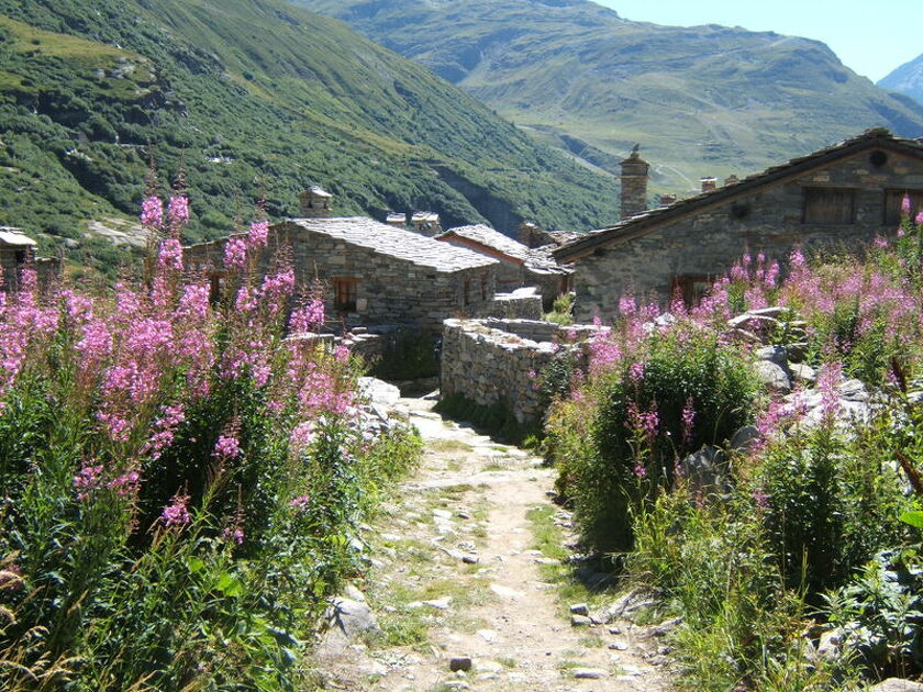 The hamlet of Ecot in Bonneval-sur-Arc in summer - OT HMV