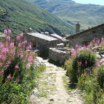 The hamlet of Ecot in Bonneval-sur-Arc in summer - OT HMV