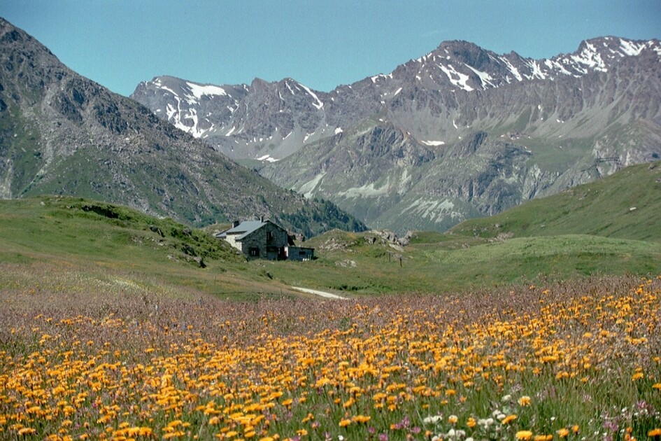 © Col du Petit Mont-Cenis - Florence De Grolée