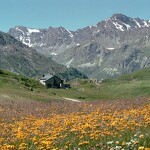 © Col du Petit Mont-Cenis - Florence De Grolée