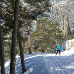 Monolith forest at Val Cenis-Sardières - Alicia Magnenot/HMVT