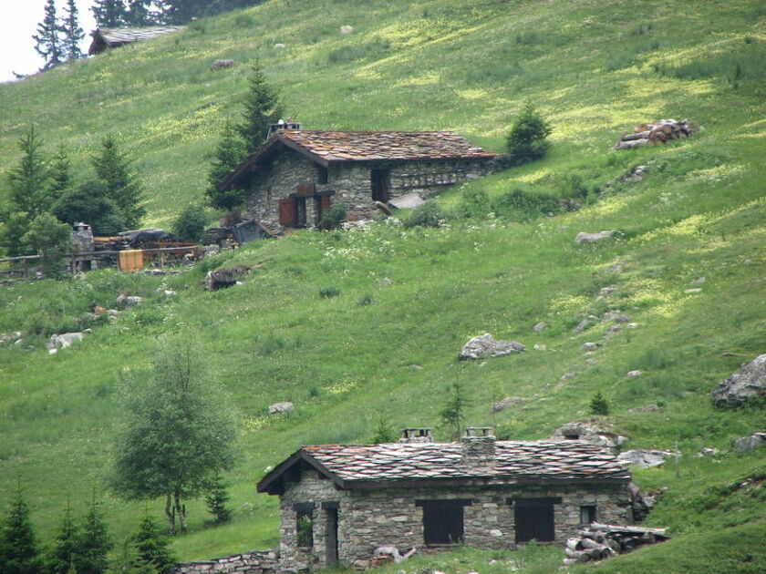 © Vallon de l'Orgère Parc national de la Vanoise - O.T. La Norma VLP