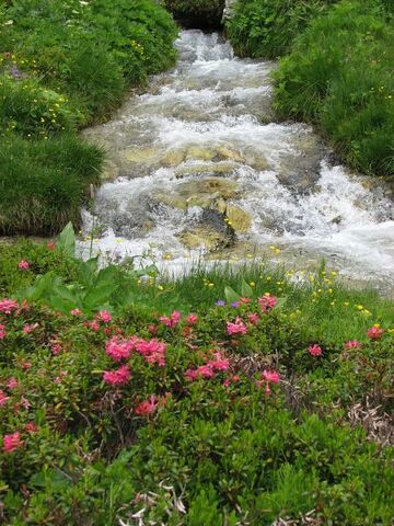 Stream in the Orgère valley in Villarodin-Le Bourget - O.T. La Norma VLP