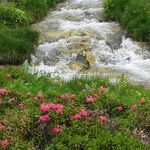 Stream in the Orgère valley in Villarodin-Le Bourget - O.T. La Norma VLP