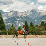 © Parcours obstacles à cheval - B.Thomas - OTHMV