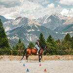 © Parcours obstacles à cheval - B.Thomas - OTHMV