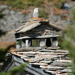 © artisan-poseur-lauzes-haute-maurienne-vanoise - Haute Maurienne Vanoise