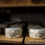 © La Ferme des Brebiquettes - La Ferme des Brebiquettes - Tomme de chèvres et brebis - OTI MONTAGNICIMES