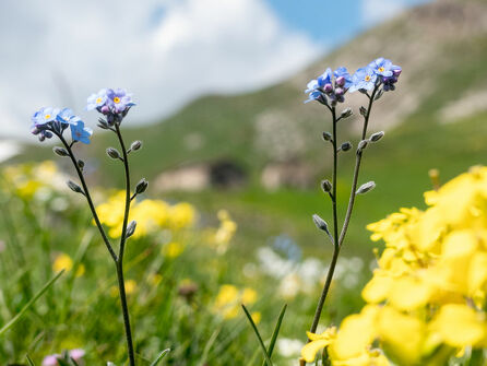 Circuit de Polset à pied
