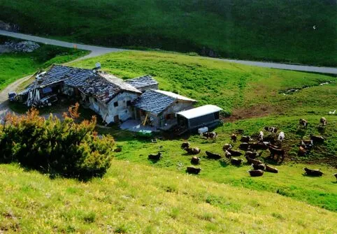 Chavières Farm