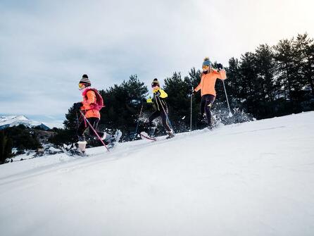 Snowshoe outings in uncharted landscapes
