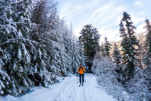 Ski touring itinerary &quot;Le Col du Mont Cenis