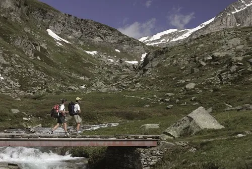Bridge Walking Loop
