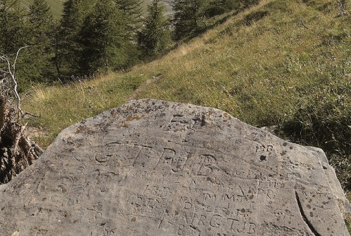 Alpine Walking Trail