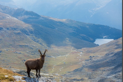 Hiking at the Col d&#039;Aussois
