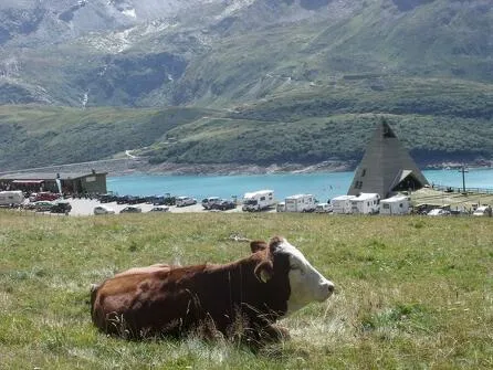 Goûter à la ferme : Découverte gourmande au Mont Cenis