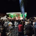 © Festi fourneaux concert 2 - Patou Robin