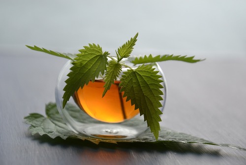 Atelier plantes et huiles essentielles