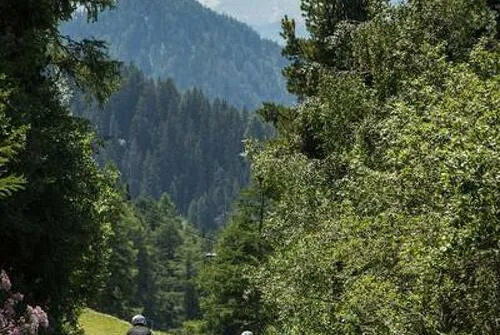 MTB Enduro: The Avalanche