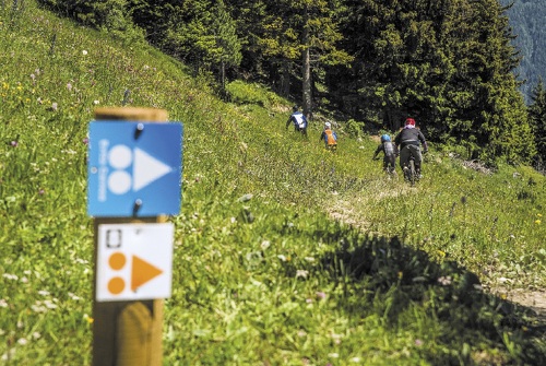 Enduro : Evita Carnéa