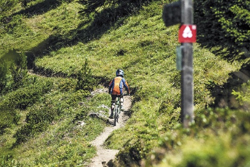 Enduro: The Art of the Saddle