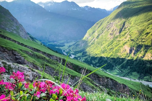 La Mottuaz walking loop