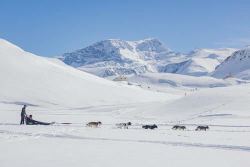Dog sledding Val-Cenis - Dog sledding experience in Val-Cenis