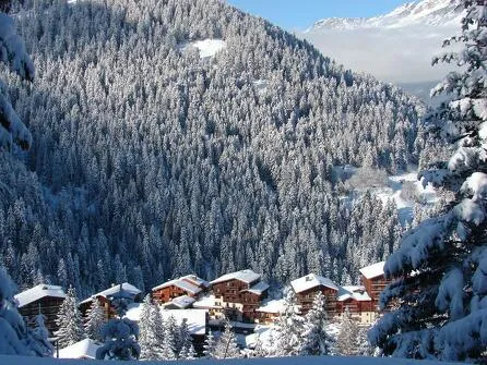 Immovalfrejus Office