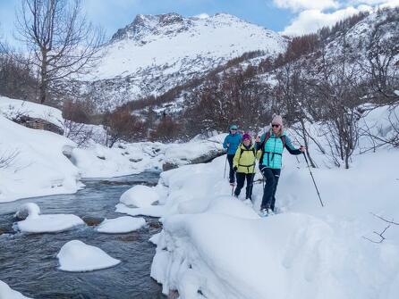 Itinéraire piéton raquettes  : Les Moulins