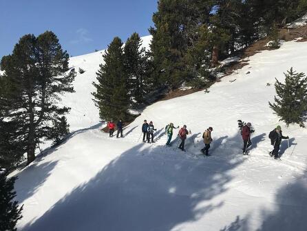 Snowshoe trekking