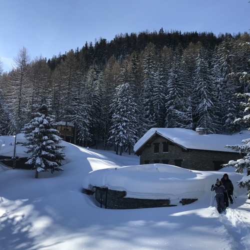 Randonnée en raquettes