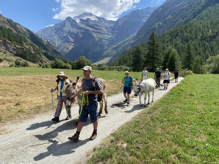 Diablot&#039;ânes - walking with donkeys