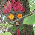 © Jardin sensoriel l'Arbre Fay_Saint-André - L'Arbre Fay