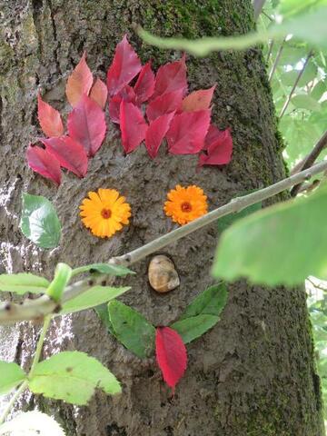 © Jardin sensoriel l'Arbre Fay_Saint-André - L'Arbre Fay